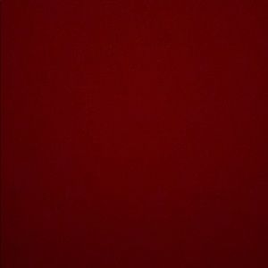 Meet your Posher, Shalini